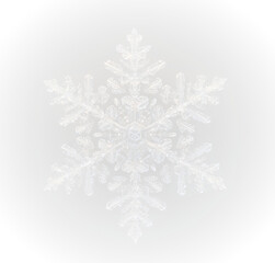 Ice frost snowflake frozen winter cold frame border white transparent decoration pattern.
