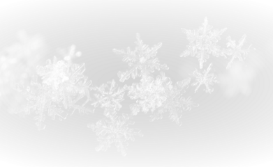 Frost winter snowflake ice frozen cold frame border white transparent decoration pattern.
