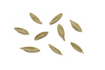 Cereal grains scattering on a transparent background. Depicting organic cultivation, natural harvest, and healthy eating ingredients