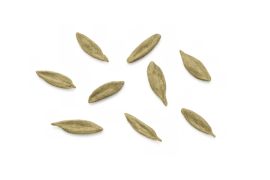 Cereal grains scattering on a transparent background. Depicting organic cultivation, natural harvest, and healthy eating ingredients