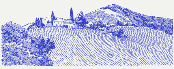 Fototapeta premium A blue and white drawing of a hillside with a house and trees. The house is on the left side of the hill. vector illustration