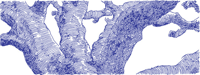 A blue and white drawing of a tree trunk. The trunk is thin and has a lot of detail. vector illustration