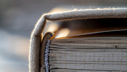Textured fabric spine of an old volume in warm sunlight, a beautiful mockup book cover background for publishing concepts