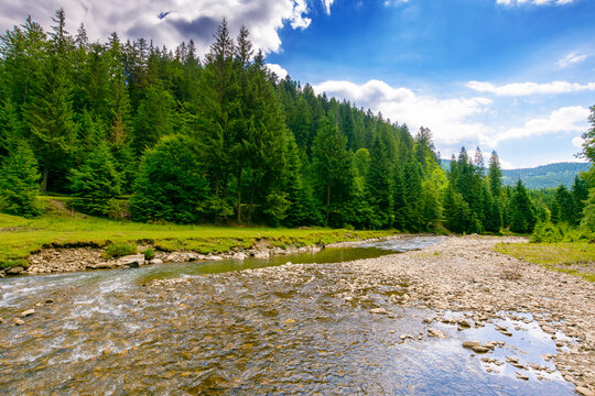 Fototapeta landscape with mountains, forest and a river in front. beautiful scenery in summer on a sunny day. water flowing through synevyr national park. natural background for ecology and sustainability
