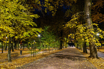 Naklejka premium Evening view of park alley illuminated with string lights, creating a magical atmosphere for holidays and celebrations, an autumn night scene.