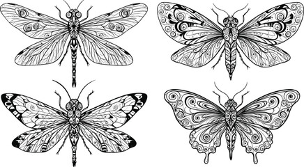 Four black and white detailed insect illustrations with ornate wings butterfly dragonfly