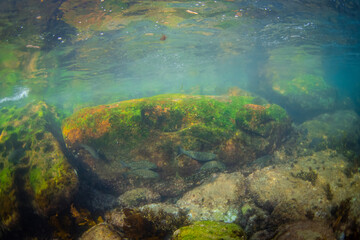A big rock underwater at the beach.