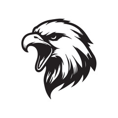 eagle vector illustration