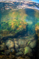 Underwater view of big rocks and few fish.