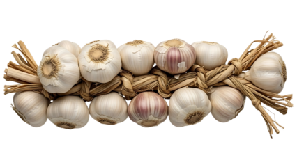 A close up of a braid of garlic bulbs tied together with straw on a black isolated background view