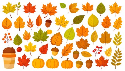 Assortment of colorful autumn leaves, berries, acorns, pumpkins and a drink in a cup set against a white background