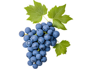 Obraz premium Bunch of dark grapes with leaves isolated on transparent background. Ideal for fruit, wine, and organic design visuals.