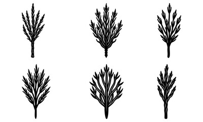 Botanical sketches of vintage evergreen sprigs, perfect for crafting rustic wedding invitations and adding natural elegance to branding projects