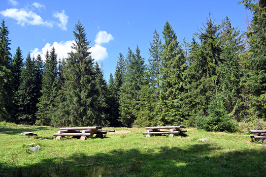 Place for rest at Olczyska Polana or Polana Olczysko – a clearing in the Olczyska Valley in the Western Tatras, located at an altitude of 1035–1100 m above sea level. Tatra National Park, Poland