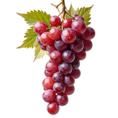 Fototapeta premium Grapes isolated on white