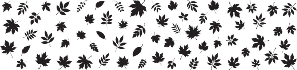 Monochrome pattern of various types of leaves scattered across a white background