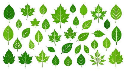 Assortment of vibrant green, stylized leaves of varying shapes and sizes, isolated on a white background in a flat style