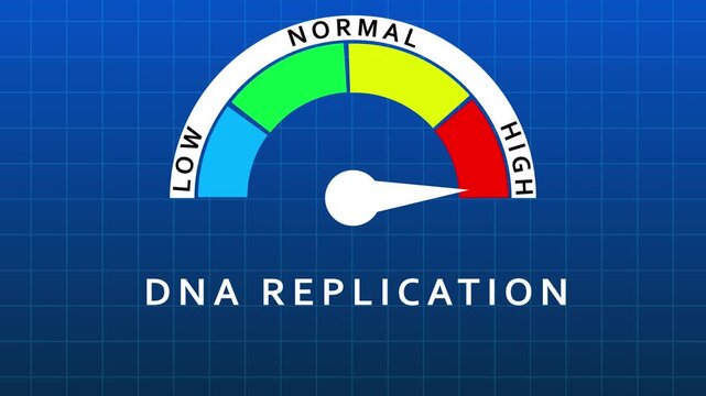 DNA Replication Gauge Meter Indicating Normal Level on Blue Grid Background dna replication indicator