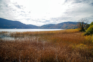 autumn landscape in abant lake, bolu turkiye