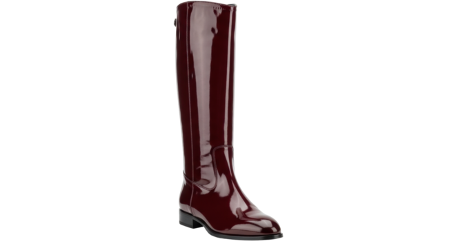 Isolated shiny high leather boot, fashion footwear for women, trendy, elegant outfit item - Powered by Adobe