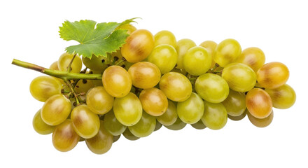 Isolated bunch of fresh ripe grapes ready to eat with leaves, fruit for snacking, dieting