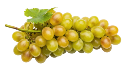 Isolated bunch of fresh ripe grapes ready to eat with leaves, fruit for snacking, dieting