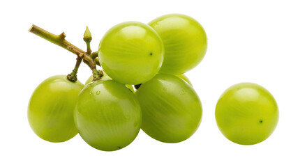 Isolated cluster of green grapes on a branch ready to eat as a delicious snack fruit