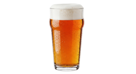Isolated Pint Glass of Beer with Foamy Head Brewed Lager Pale Ale Refreshment Refreshing Drink