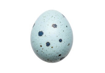 Isolated speckled egg of a small bird showing brown and blue spots on light blue shell