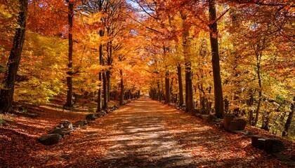 Obraz premium Serene Autumn Forest Pathway Lined With Vibrant Orange And Yellow Trees