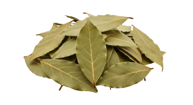 Isolated pile of dry bay leaves, aromatic culinary herb for seasoning, cooking, flavoring food