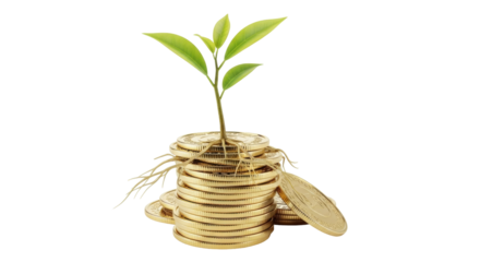 Isolated plant growing from stack of coins symbolizing financial growth and investment