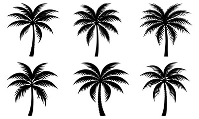 Fototapeta premium Elegant palm trees for tropical designs, beach vibes, and summer promotions, perfect for vacation visuals and coastal themes, originally a scalable vector
