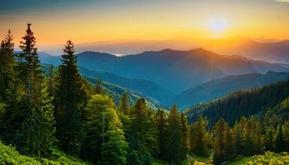 Obraz premium Mountain Vista At Sunset Dense Forest