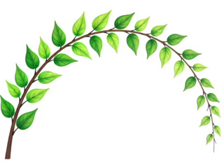 Green leaves on a branch forming arch shape for decoration vector