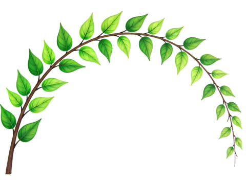 Green leaves on a branch forming arch shape for decoration vector