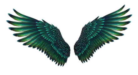 Isolated blue green wings, symbolic of flight, fantasy, spirituality, freedom, strength