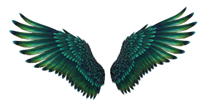 Isolated blue green wings, symbolic of flight, fantasy, spirituality, freedom, strength