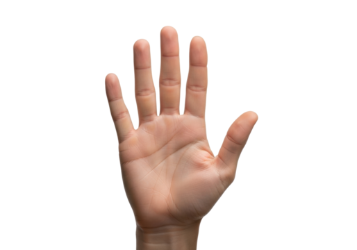 Isolated outstretched human hand expressing gesture, communication, sign, symbol, hand