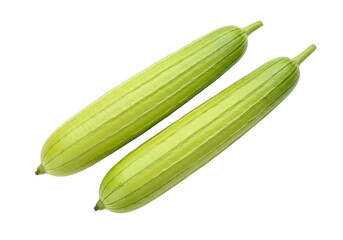 Isolated pair of sponge gourds displayed as raw ingredients for Asian cooking dishes