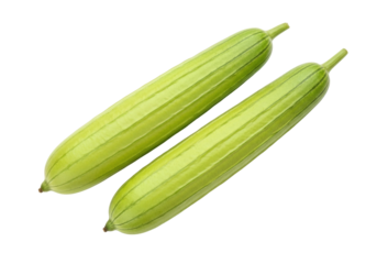 Isolated pair of sponge gourds displayed as raw ingredients for Asian cooking dishes