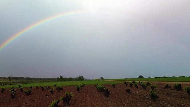 VI&Ntilde;EDOS CON ARCO IRIS