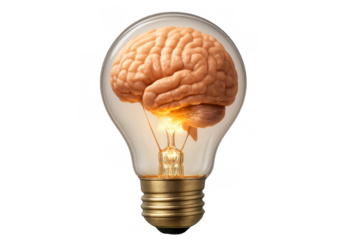 Brain in lightbulb, illuminating creative ideas and concepts with intelligence and innovation, mind awakening