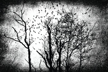 Silhouette of bare trees with flying birds. Gothic style black and white illustration	