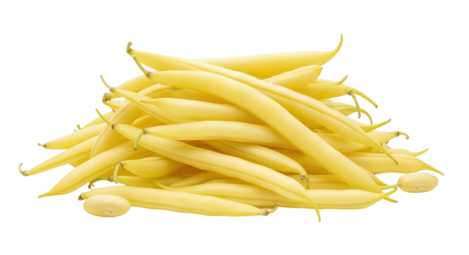 Isolated heap of fresh golden wax beans, nutritious legume pod from garden plant harvest
