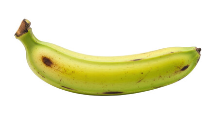 Isolated semi-ripe banana on plain backdrop. Whole organic fruit with dark speckles