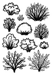 Set of Hand Drawn Bushes and Shrubs. Sketch Style Botanical Elements Collection for Landscaping and Nature Design.