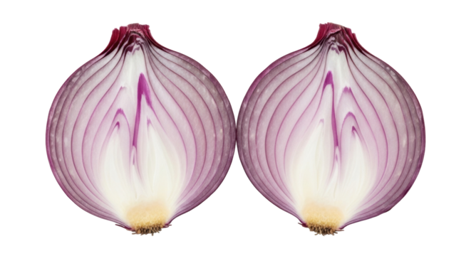 Isolated halves of purple red onion show concentric layers, food item for cooking salads