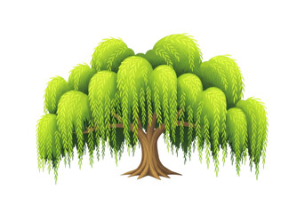 Isolated weeping willow tree with falling green leaves, stylized cartoon drawing