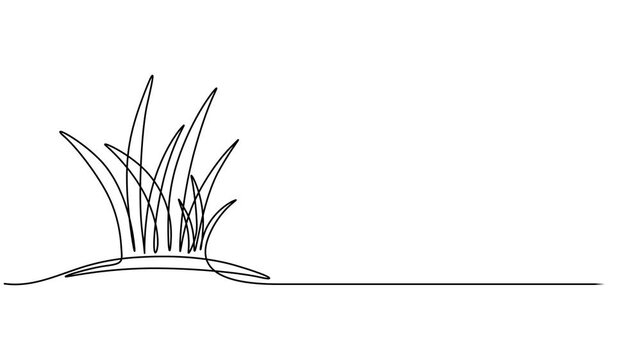 Grass continuous one line drawing animation video. Full length single line animation, Grass in one continuous line drawing 4k animation video, Cow in the meadow. Self-drawing a simple animation of one
